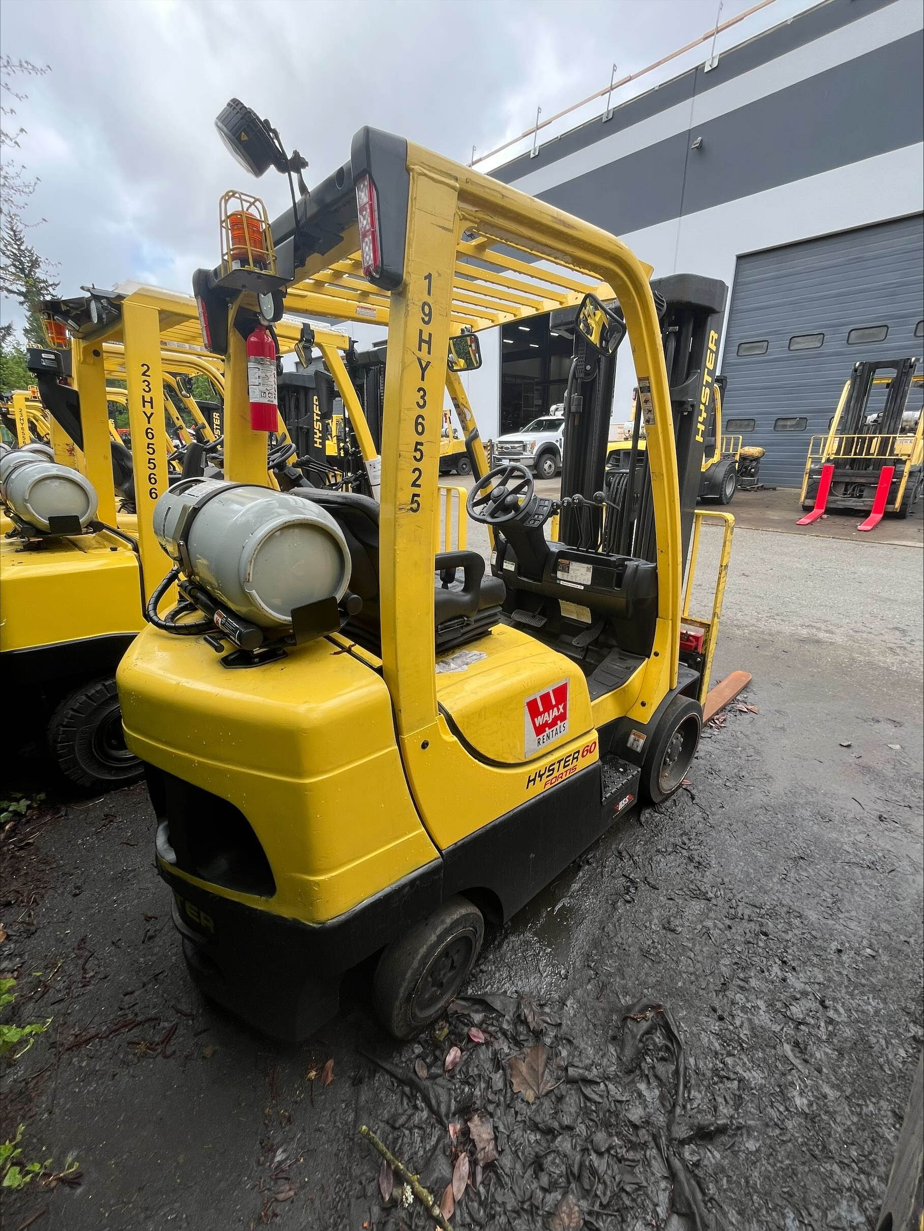 2019 Hyster S60FT